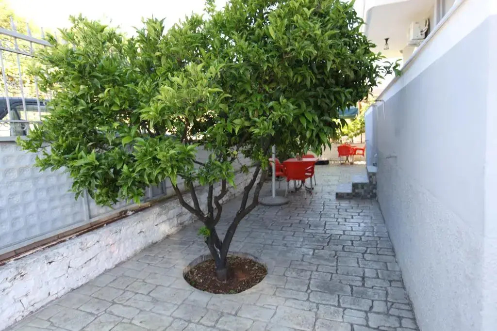 Vila Enea