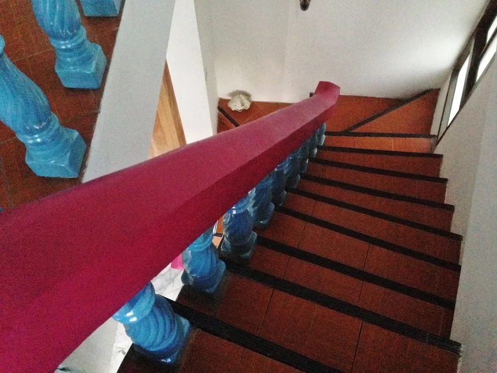 White Rabbit - Hostel