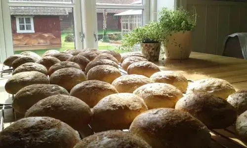 B&B Borgunda