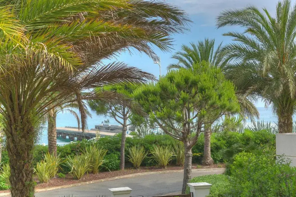 IMMOGROOM - Sea view - Terrace- Swimming-Pool - 1 min from the beach