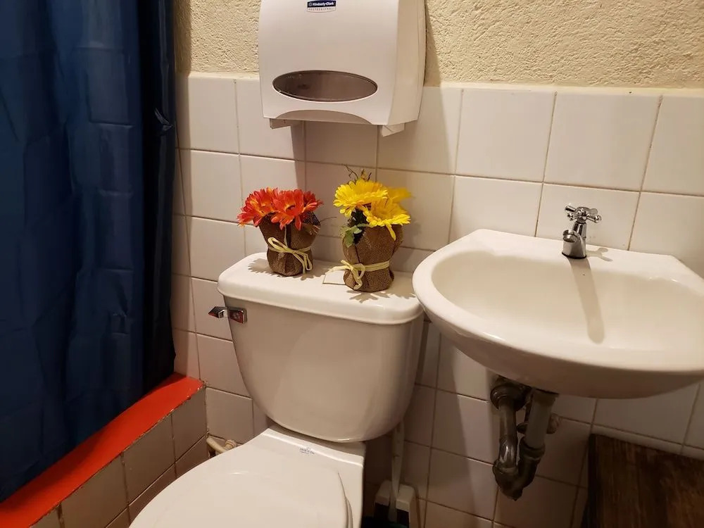 Parrot House