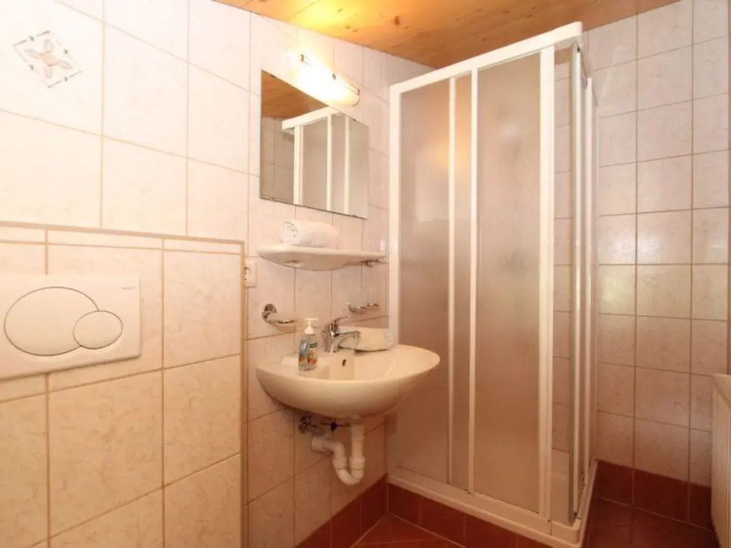 Apartment Alpin Zell am Ziller 15591