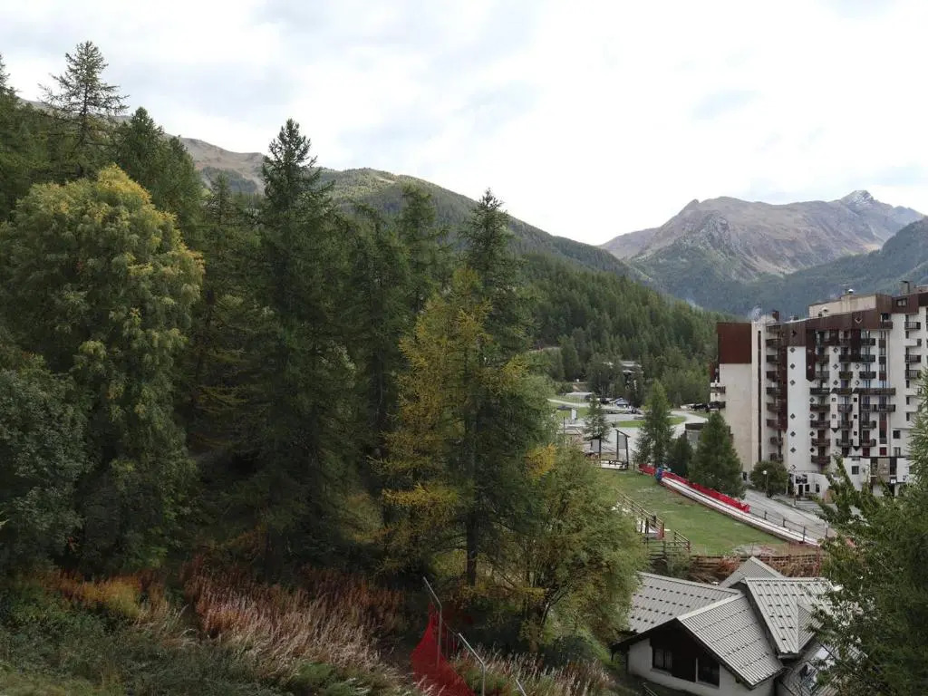 Appartement Les Orres, 2 pièces, 6 personnes - FR-1-322-232