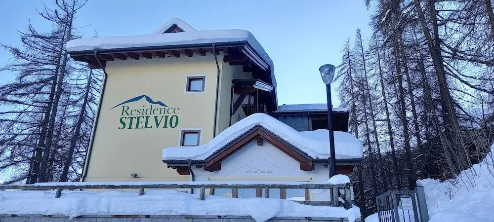 Stelviostay Bilo 3