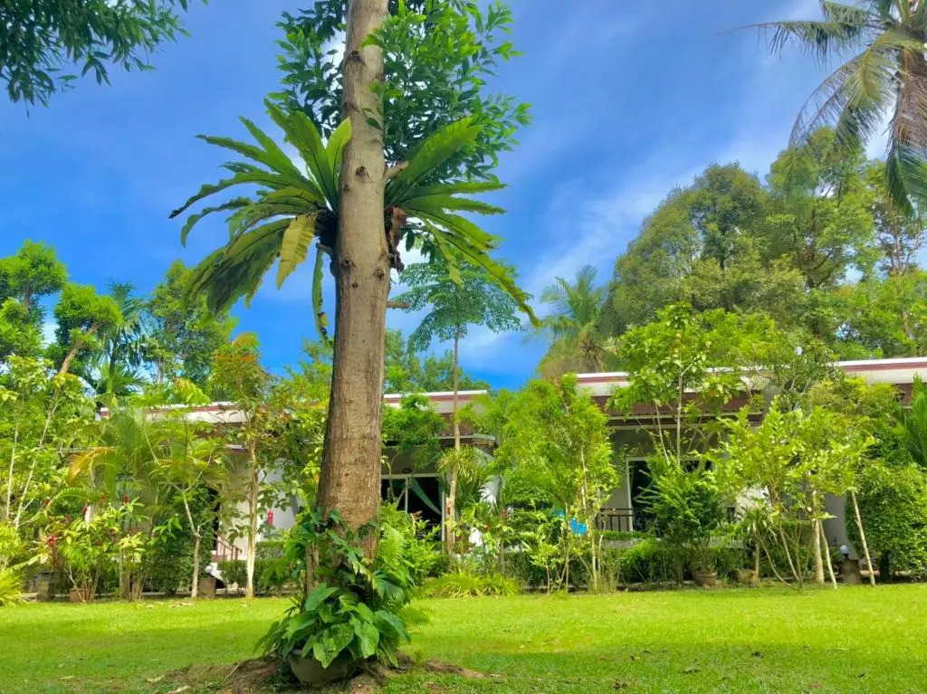 Pana Long Beach Resort - SHA Plus