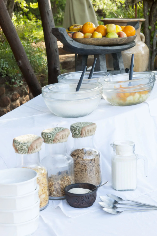 Taita Falcon Lodge