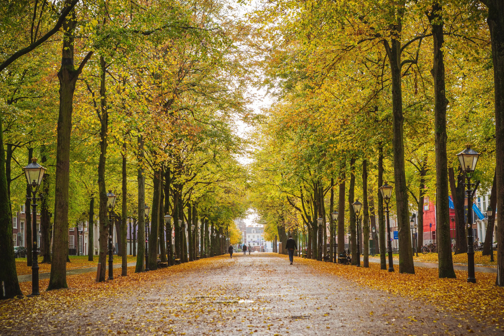 voco The Hague by IHG