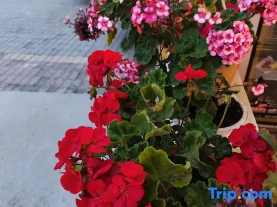 Tukes Ligong Be Courtyard Homestay Reception Center