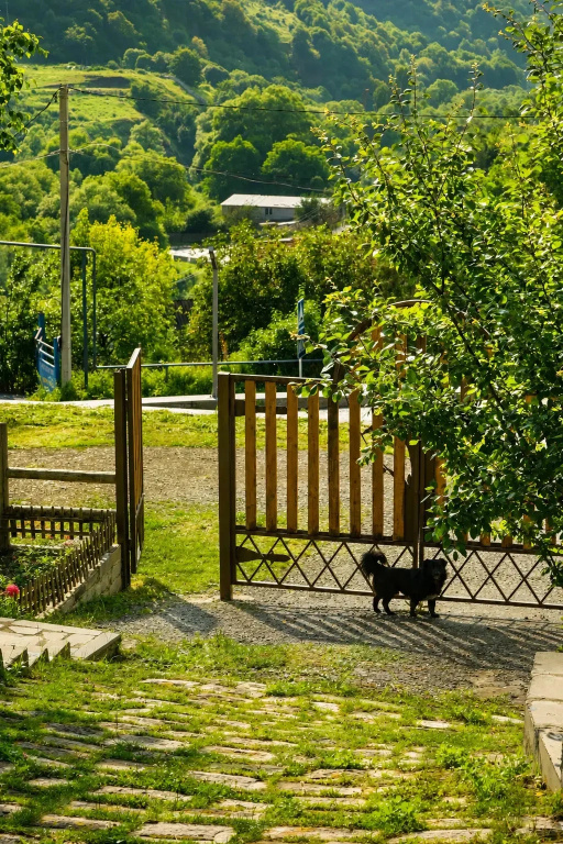 Отель Madin Eco