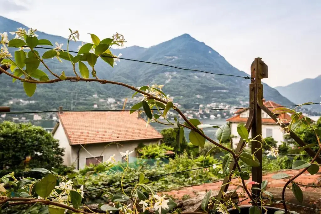 VECCHIO BORGO