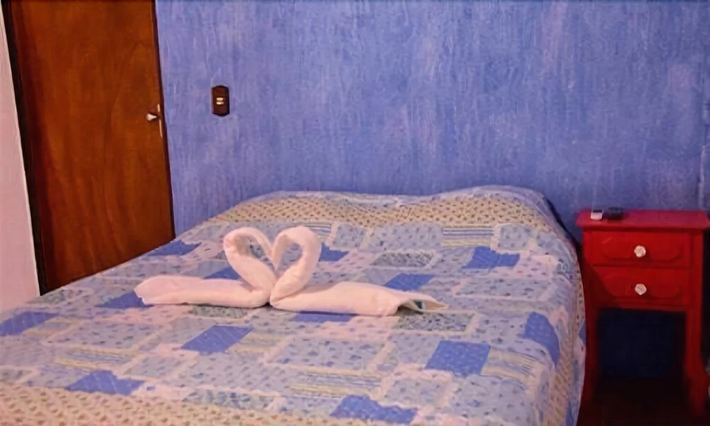 Carpe Diem Cama e Café