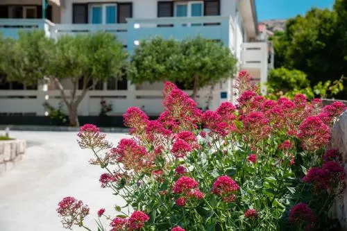 Apartmani Andreja