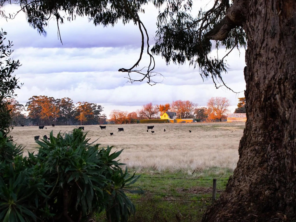 Manna Gums- beautiful secluded setting