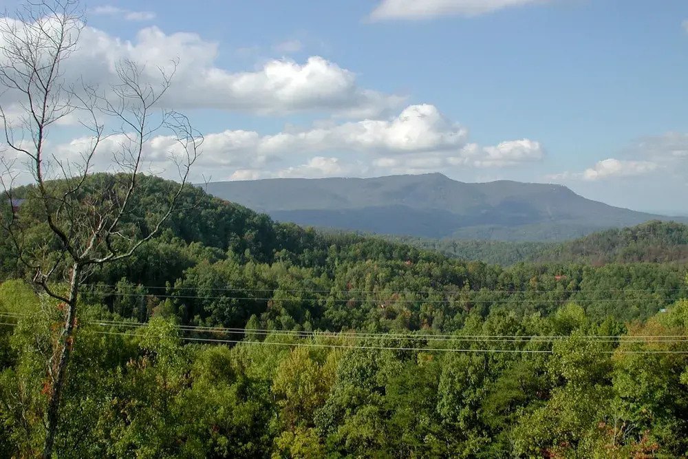 CHATEAU BEARDEN - 3 Br Cabin