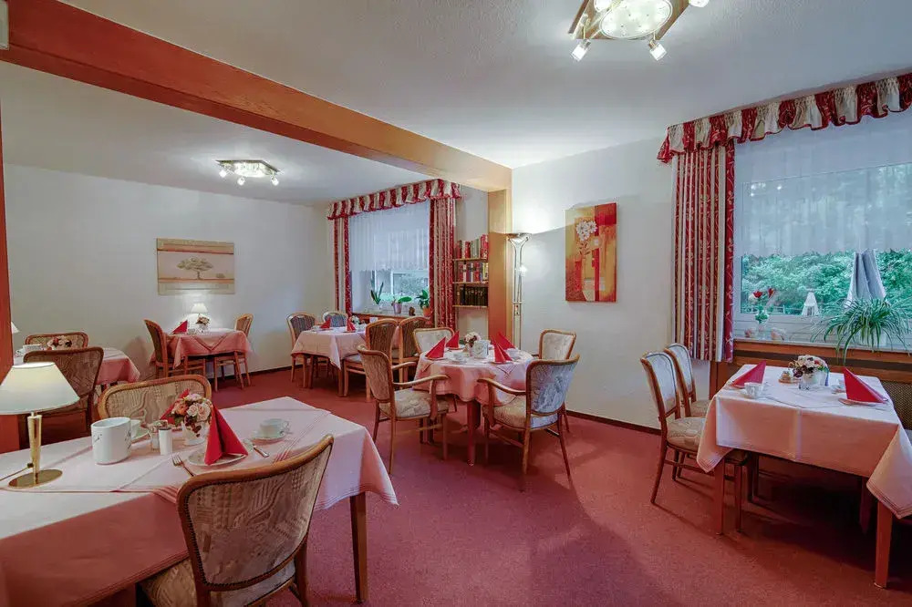 Harz hotel Iris