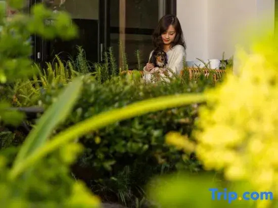 Yulong August Guanshanhai Light Luxury Homestay