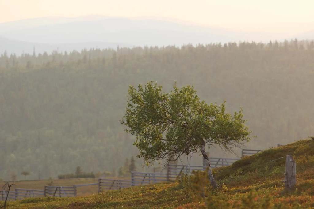 Siulanlumo