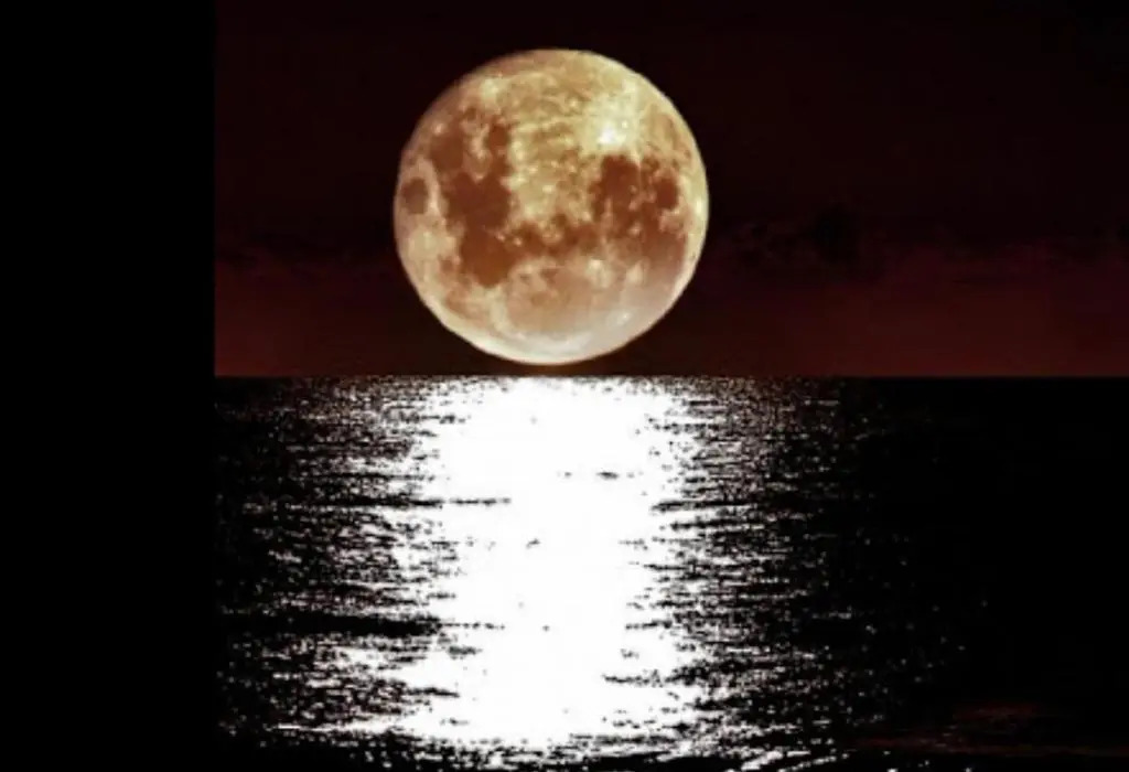 LUNA-Guest Rooms