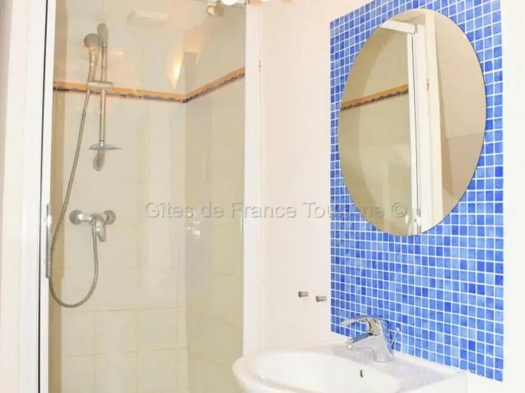 Élégante Demeure 17e avec Spa, Sauna et Authentique Cheminée, proche Châteaux de la Loire - FR-1-381-348