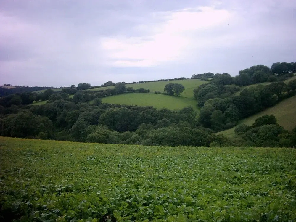 Coedllys Country House B&B
