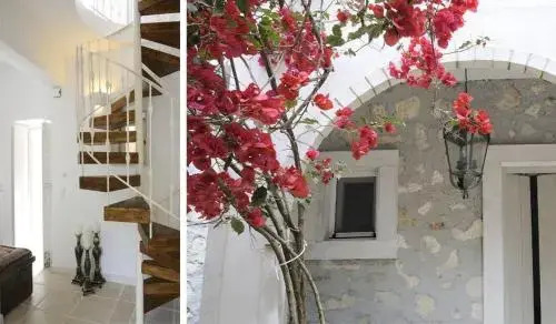 Elina House