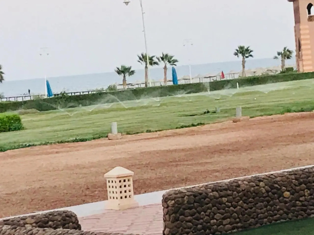 بورتو ساوث بيتيس Porto South Betis