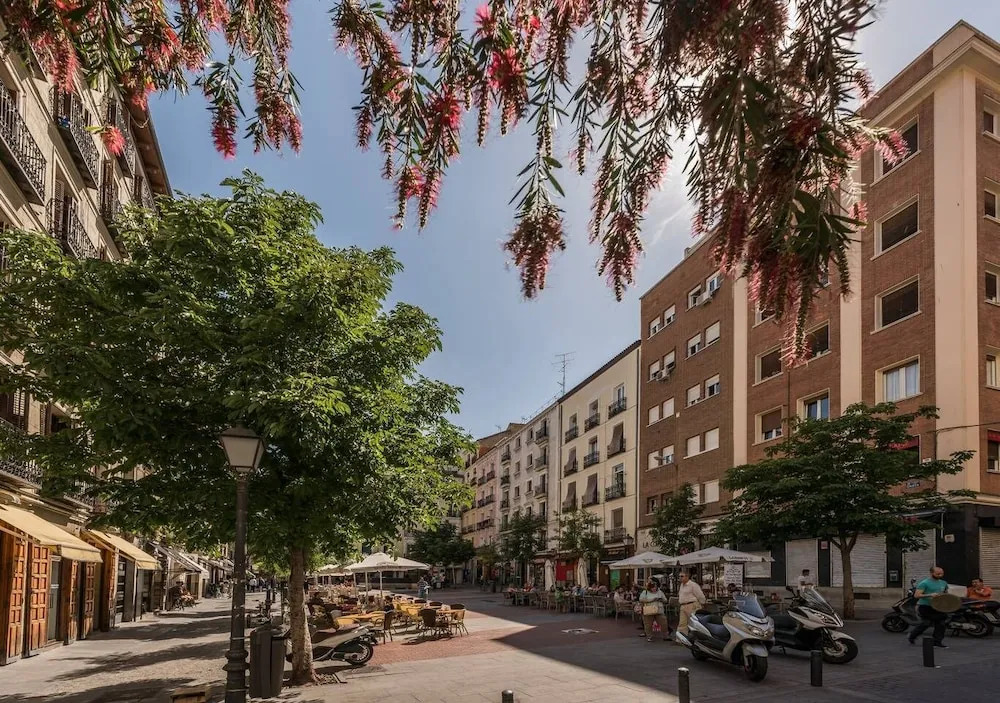 M&F San Bartolomé Apartamento