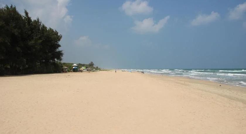 BEACH LIFE UPPUVELI