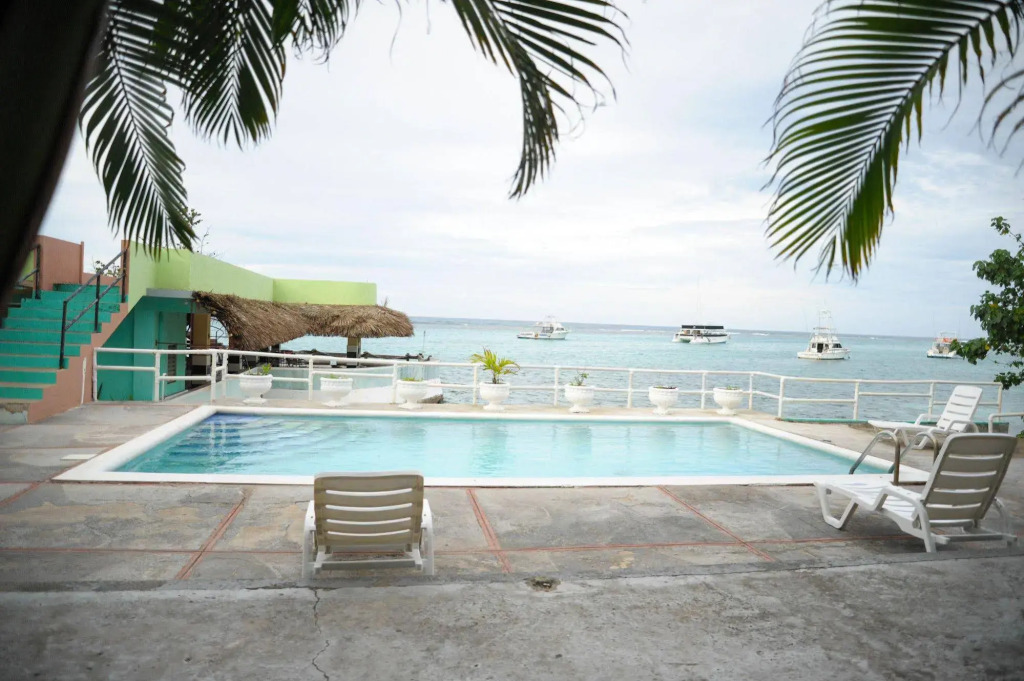 Ocean Palms