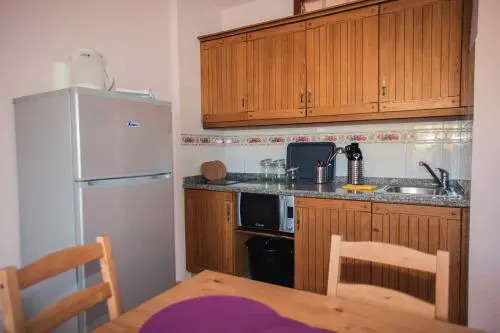 Apartment in Playa de las Americas 1