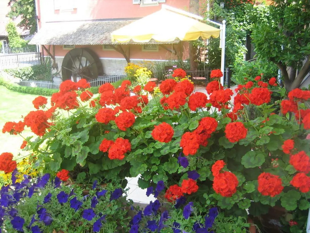 Hotel Hofmann Zur Mühle