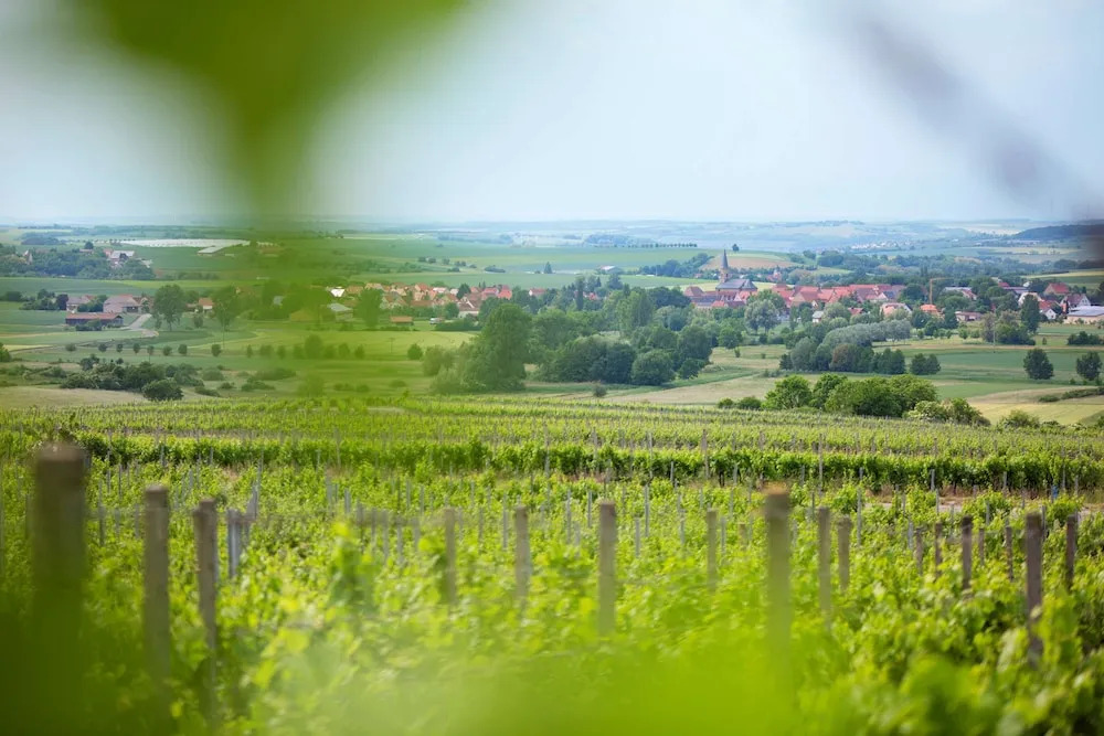 Winzerstube Familie Schilling