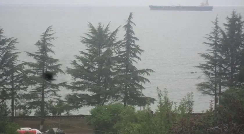 Guest House on Tamar Mephe 14