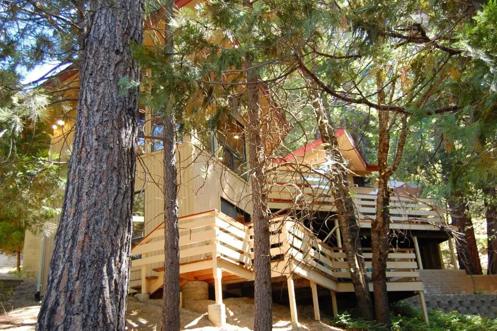 18a Pohono Pines