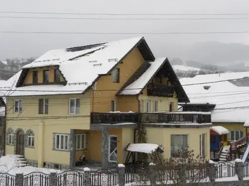 Casa Enescu