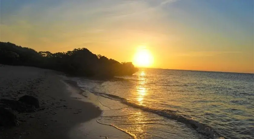 Cocoro Malolo