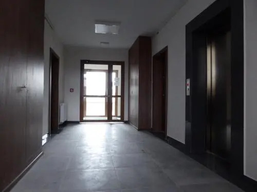Zielone Studio