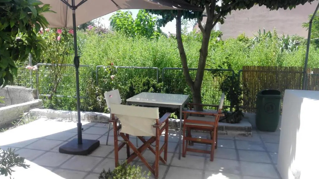 The Garden
