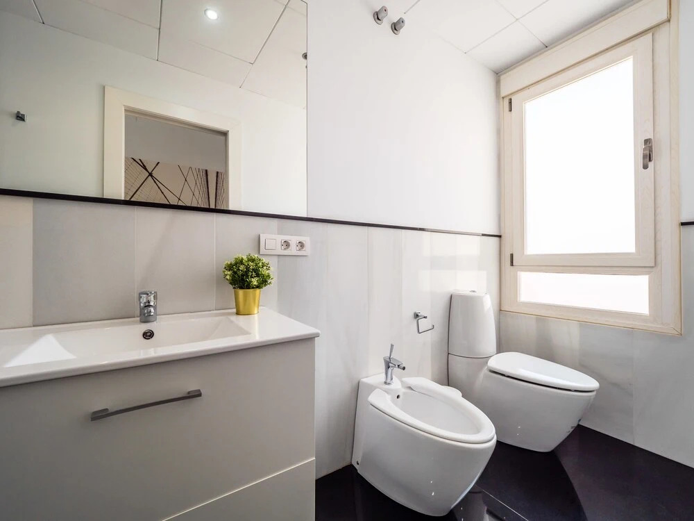 Central Sunny Penthouse Premium Apt