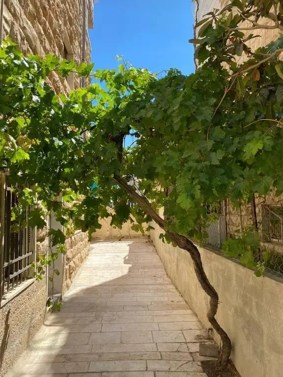 Joseph apartment