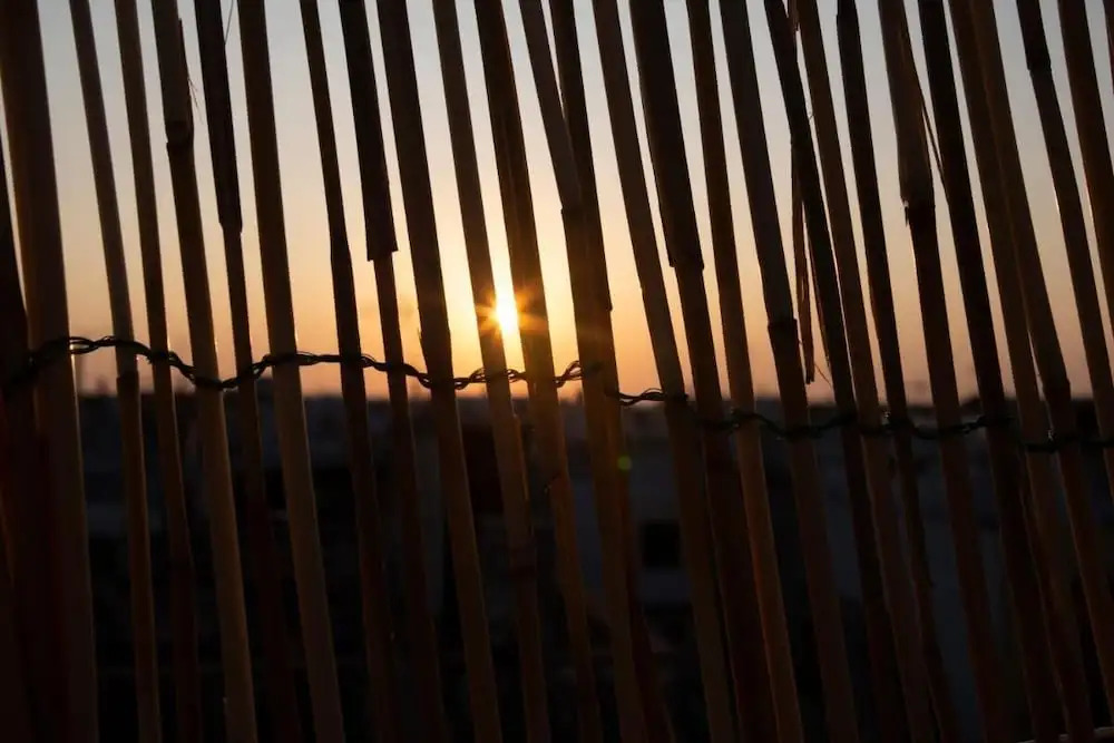 4 Sister Open Space in Puglia, Italy
