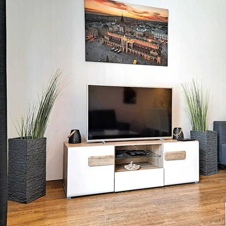 Luxury Modern Apartment