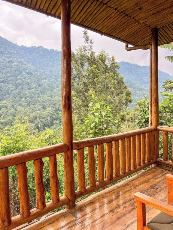 Gorilla Bluff Lodge