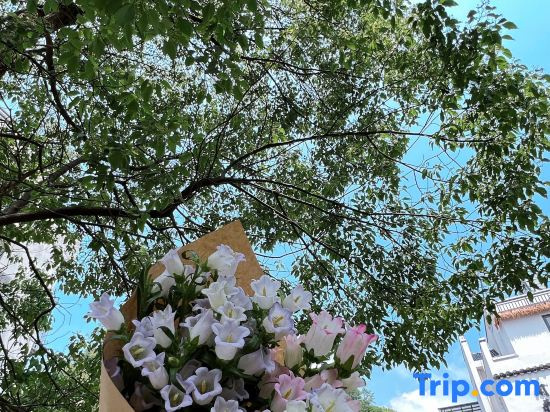 Xianlai Wushi·Audio-Visual & Smart·Starry Sky Leisure Residence Vibe Holiday Boutique Inn