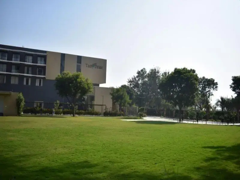 The Fern Alwar