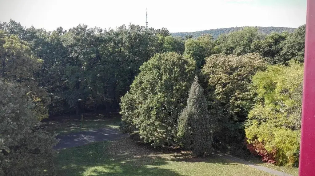 Fészek Apartman Sopron