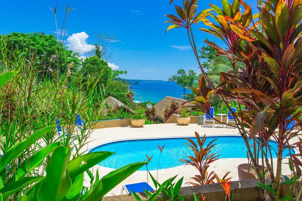 The Island Hub at Red Frog Beach Resort