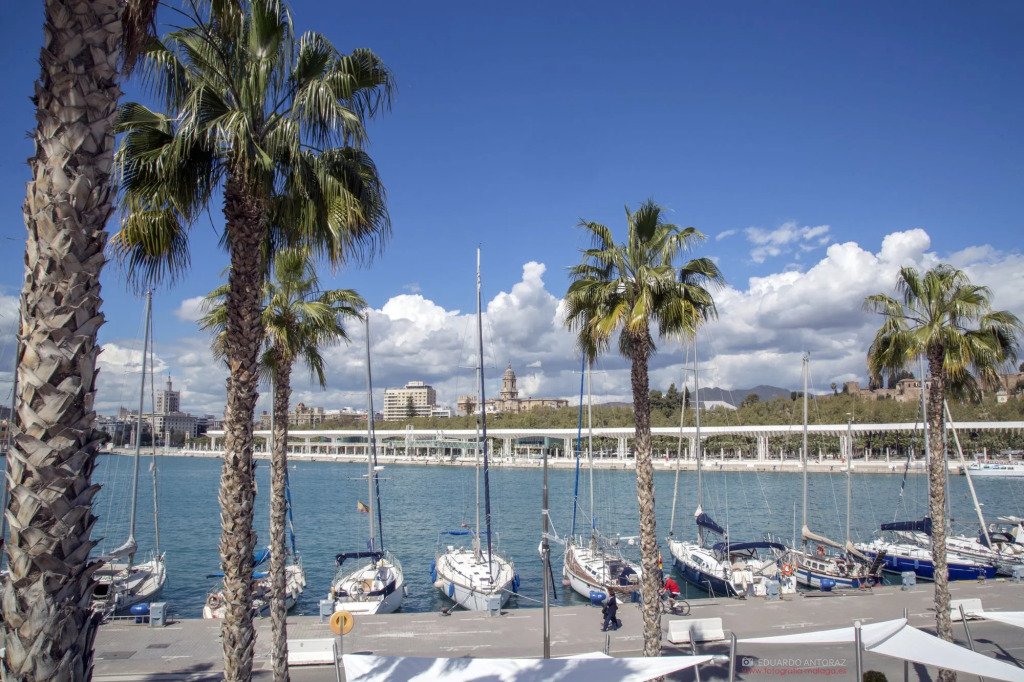 Apartamentos Picasso Plaza Merced