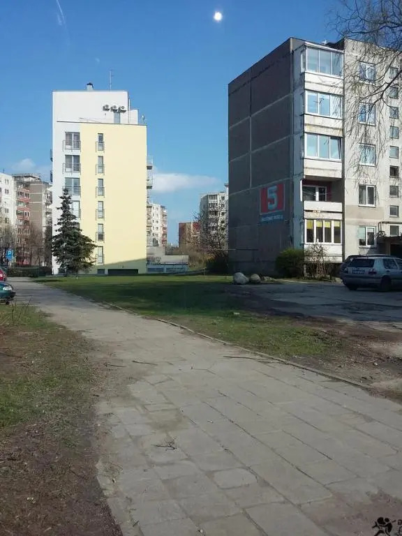 Dviejų kambarių butas