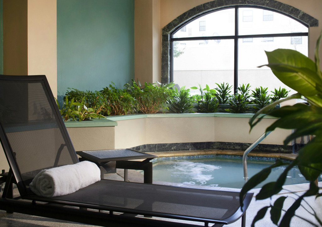 Embassy Suites by Hilton Houston Near the Galleria
